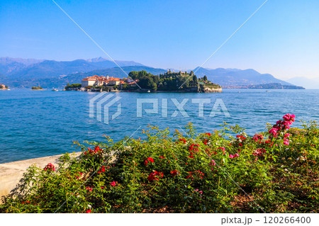 View of Isola Bella (one of the Borromean Islands of Lago Maggiore) from Stresa town, Italy View of Isola Bella (one of the Borromean Islands of Lago Maggiore) from Stresa town, Italy 120266400