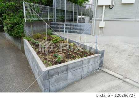 街中にある小さな畑 120266727