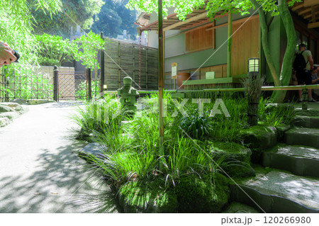 鎌倉の報国寺 120266980