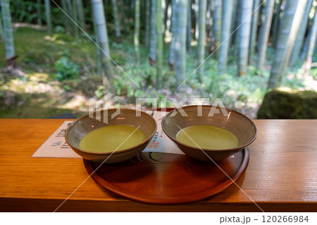 鎌倉の報国寺 120266984