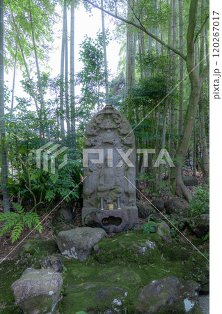 鎌倉の報国寺 鎌倉の報国寺 120267017
