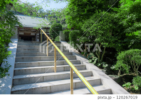 鎌倉の報国寺 120267019