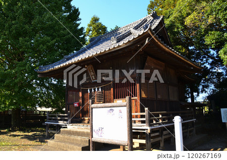 埼玉県坂戸市多和目のパワースポット　多和目天神社 120267169