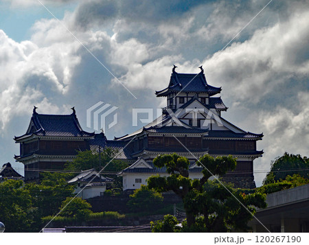 京都府福知山市の福知山城は瓦一枚運動という市民運動で復元された続日本百名城のひとつ 120267190
