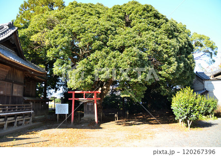 埼玉県坂戸市多和目のパワースポット 多和目天神社 埼玉県坂戸市多和目のパワースポット 多和目天神社 120267396