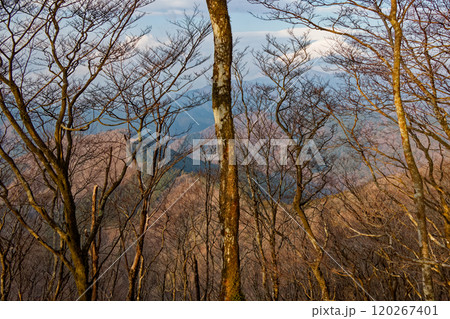 西丹沢・浅瀬権現山から見るミツバ岳と富士山 120267401