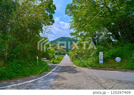 高知県四万十市の四万十川に架かる今成橋(佐田沈下橋)を東側の入口から見る 120267409