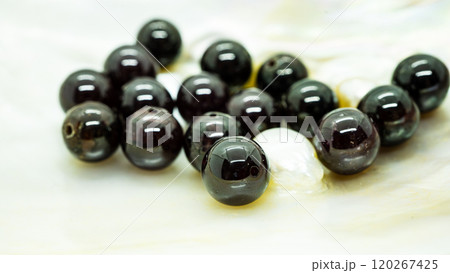 ガーネット 120267425