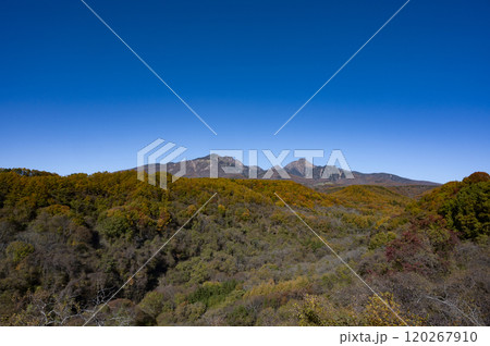 八ヶ岳と紅葉 120267910