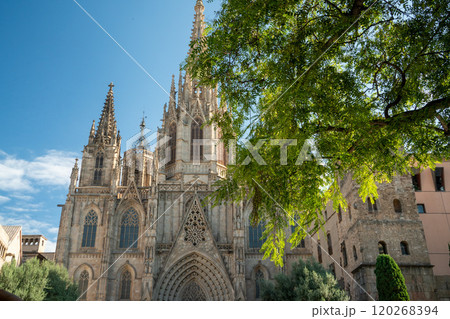 サンタ・エウラリア大聖堂 120268394