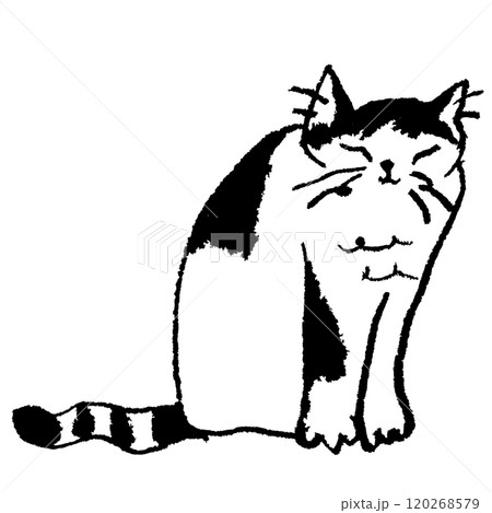 お座りするハチワレ白黒猫 120268579