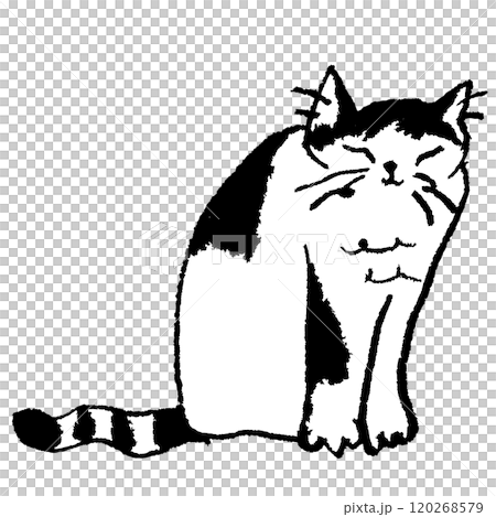 お座りするハチワレ白黒猫 120268579