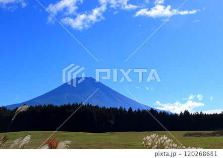 秋の富士山 120268681