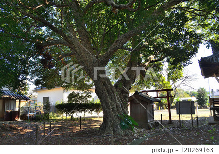 埼玉県坂戸市多和目のパワースポット　多和目天神社 120269163