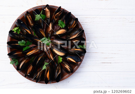 Mussels with parsley on a plate photography 120269602