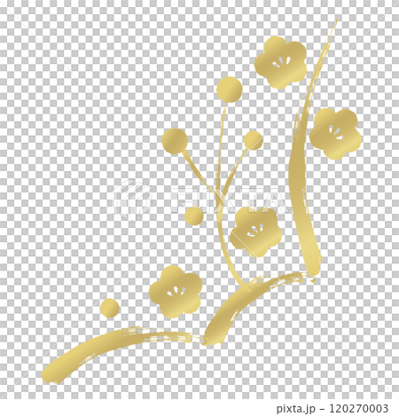 金色 筆書き風 和風の梅の花のあしらい 金色 筆書き風 和風の梅の花のあしらい 120270003