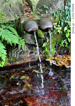 亀岡市　市杵島姫神社　乳の泉 120270006