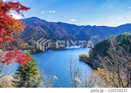東京都　奥多摩湖　紅葉の風景 120270231