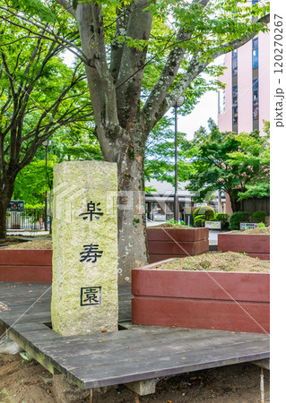 楽寿園(旧小松宮別邸) 三島駅前入園口 静岡県三島市一番町 楽寿園(旧小松宮別邸) 三島駅前入園口 静岡県三島市一番町 120270267