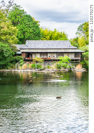 楽寿園（旧小松宮別邸）　楽寿館と小浜池　静岡県三島市一番町 120270275