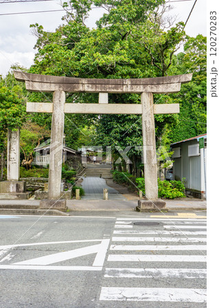 三嶋大社(伊豆諸島の開拓神 伊豆国の一宮) 鳥居 静岡県三島市大宮町 三嶋大社(伊豆諸島の開拓神 伊豆国の一宮) 鳥居 静岡県三島市大宮町 120270283
