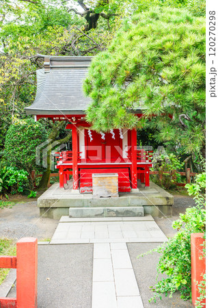 三嶋大社(伊豆国の一宮)末社 厳島神社 静岡県三島市大宮町 三嶋大社(伊豆国の一宮)末社 厳島神社 静岡県三島市大宮町 120270298