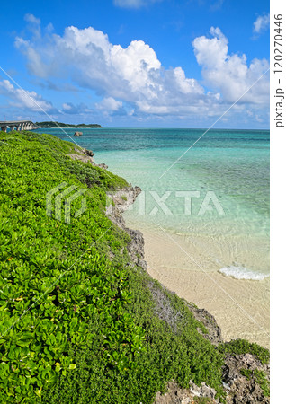 宮古島のとても美しい海の風景 120270446