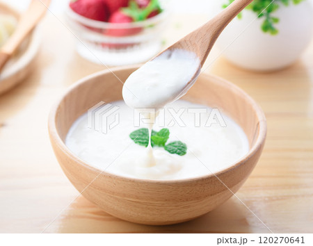 木の器に盛り付けたヨーグルト ( プレーンヨーグルト ) 木の器に盛り付けたヨーグルト ( プレーンヨーグルト ) 120270641