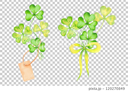 Clover petals with paper brown empty tag and bow. Symbol, mascot of St. Patrick's Day. Watercolor and marker illustration. Hand drawn isolated sketch. Composition for cards, stickers or template. 120270849