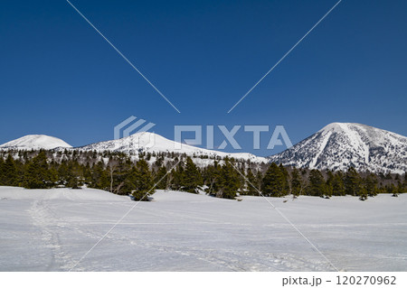 春、残雪の八甲田 睡蓮沼からの眺め 春、残雪の八甲田 睡蓮沼からの眺め 120270962