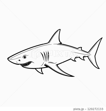 Aggressive Shark Illustration in Bold Line Art Style Aggressive Shark Illustration in Bold Line Art Style 120272133