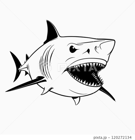 Aggressive Shark Illustration in Bold Line Art Style 120272134