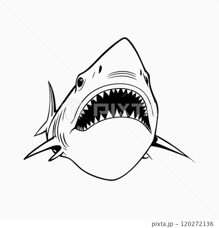 Aggressive Shark Illustration in Bold Line Art Style 120272136
