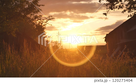 Tranquil grass field with rustic barn silhouettes under a golden sunset Tranquil grass field with rustic barn silhouettes under a golden sunset 120273404