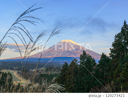 富士山 120273421