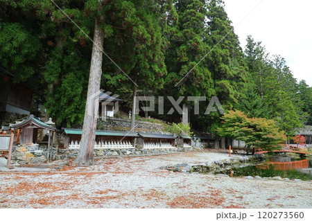 「大峯山  龍泉寺」の秋絶景 【奈良県天川村洞川（どろがわ）】 120273560