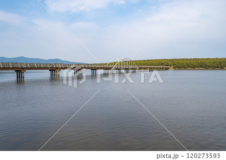 十三湖 中の島ブリッジパークへ続く橋 十三湖 中の島ブリッジパークへ続く橋 120273593