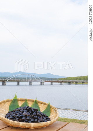 十三湖のシジミ貝 120273606