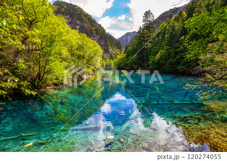Jiuzhaigou is a nature reserve and national park located in the north of Sichuan, China Jiuzhaigou is a nature reserve and national park located in the north of Sichuan, China 120274055
