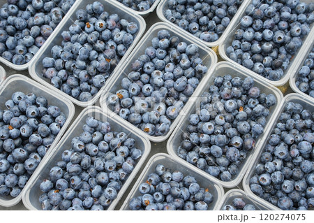 plastic containers with fresh blueberries 120274075