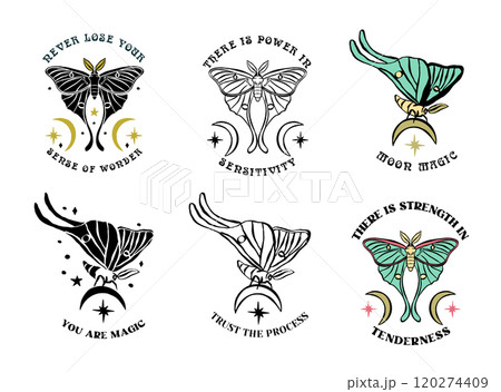 Luna moth hand drawn illustrations set with inspirational quotes 120274409