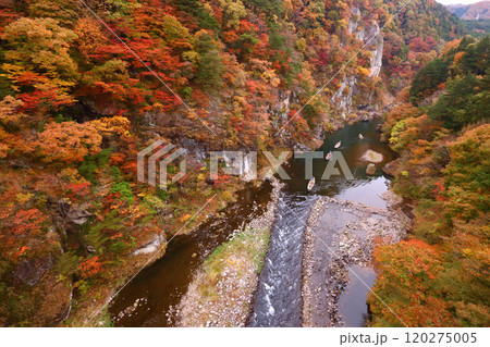 日光市 鬼怒川温泉 鬼怒川の紅葉とライン下り 日光市 鬼怒川温泉 鬼怒川の紅葉とライン下り 120275005