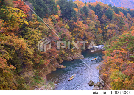 日光市　鬼怒川温泉　鬼怒川の紅葉とライン下り 120275008