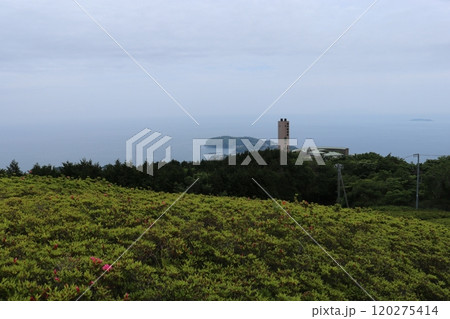 真鶴半島 真鶴半島 120275414