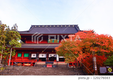 日光市 日光山輪王寺 三仏堂と金剛桜の紅葉 日光市 日光山輪王寺 三仏堂と金剛桜の紅葉 120276083