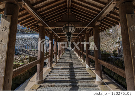 奈良長谷寺 120276105