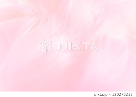 羽根・ふんわり 背景素材 120276218