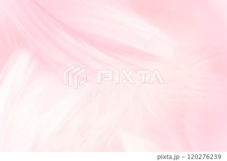 羽根・ふんわり 背景素材 120276239