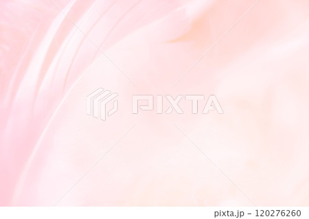 羽根・ふんわり 背景素材 120276260