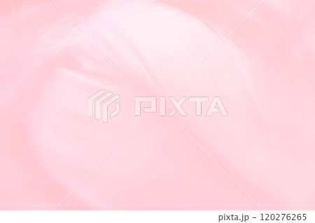 羽根・ふんわり 背景素材 羽根・ふんわり 背景素材 120276265